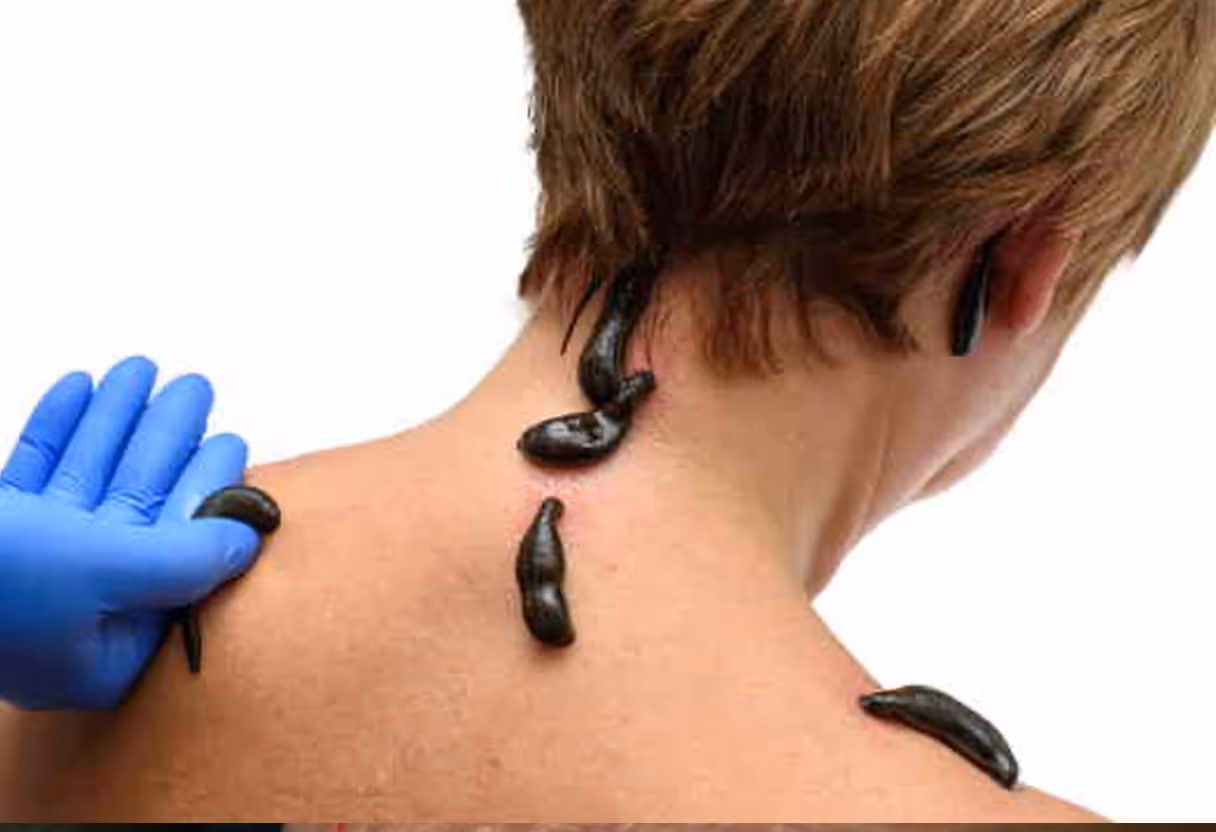 [background image] image of a serene clinic environment (for an acupuncturist)